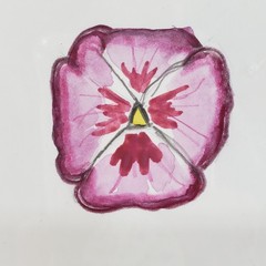 Original Watercolor Pansy Flower Art Signed Teresa Johnston Pink Orange Yellow