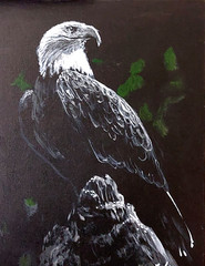 LOVELESS – „BALD EAGLE“ original acrylic Americana on canvas 11 X 14 COA