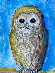 ORIGINAL WATERCOLOR OWLETS OWLS MOONLIGHT PAINTING 9 X 12