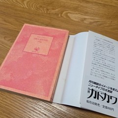 Yayoi Kusama Manhattan Suicide Attempt Paperback Book, Good Condition, Japanese