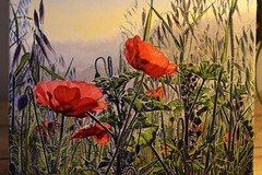 Original Art Oil Painting Landscape On Canvas Red Poppies Spring Flowers Signed