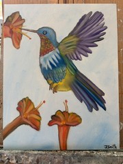 Original oil painting 11 x 14 inches gorgeous colorful hummingbird