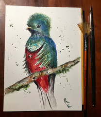 Quetzal Bird – Original Watercolor Painting A5 Handmade Artwork on Professional-