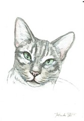 ACEO Original Watercolor Painting 2.5″x3.5″ Tabby Kitty Cat Pet Portrait