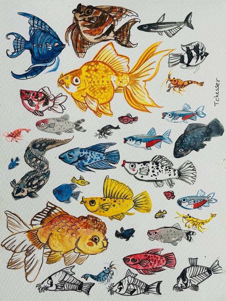 Watercolor Painting Signed Original 9×12 Colorful Tropical Fish Tiffany Chesser