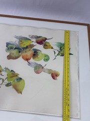 Bernard Chaet -“Pears” August 1981 Framed watercolor-graphite on paper