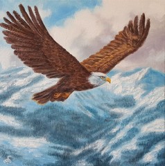 Original oil painting canvas wildlife eagle bird art impressionist realism decor