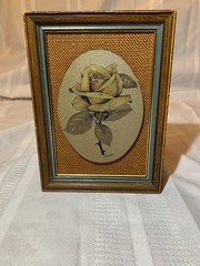 Original hand colored Titanium Etching produced by Lewis & Clayton, Rose- 1976
