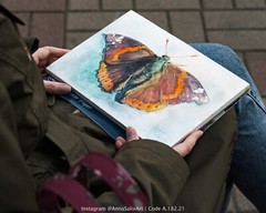 Original Butterfly Watercolor Painting, Red Admiral Colorful Bug Small Moth Art