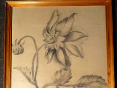 ANTIQUE ORIGINAL DRAWING PENCIL LINA EMILIA AMPT 19TH CENTURY RESTSTATT?
