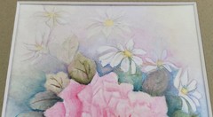 Marge Breth Original Watercolor Painting Alpine Rose Wild Daisy Victor Colorado