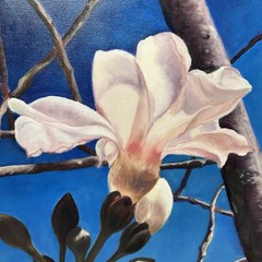 Beautiful! Original Oil on Canvas Painting Magnolia Tree Floral Flowers! Framed!