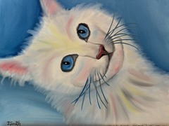 Original Oil painting art on canvas 11 x 14 in portrait colorful abstract cat