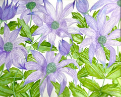 PAINTING WATERCOLOR 11X14 MAT 16X20 FLOWER CONEFLOWER PURPLE LAVENDER ORIGINAL