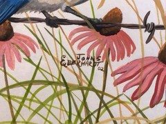 John S Eberhardt, Wildlife Artist, Signed Original Watercolor Bluebird Painting