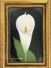 Charles Wehringer Miniature Oil Painting – White Lily, Americana 20th Century