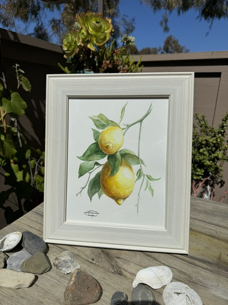 Watercolour Lemon Tree. Botanical Illustration