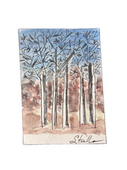 ACEO original art cards 2.5″ x 3.5″ New ‚Poppies in Bloom‘ Colorado June 2026