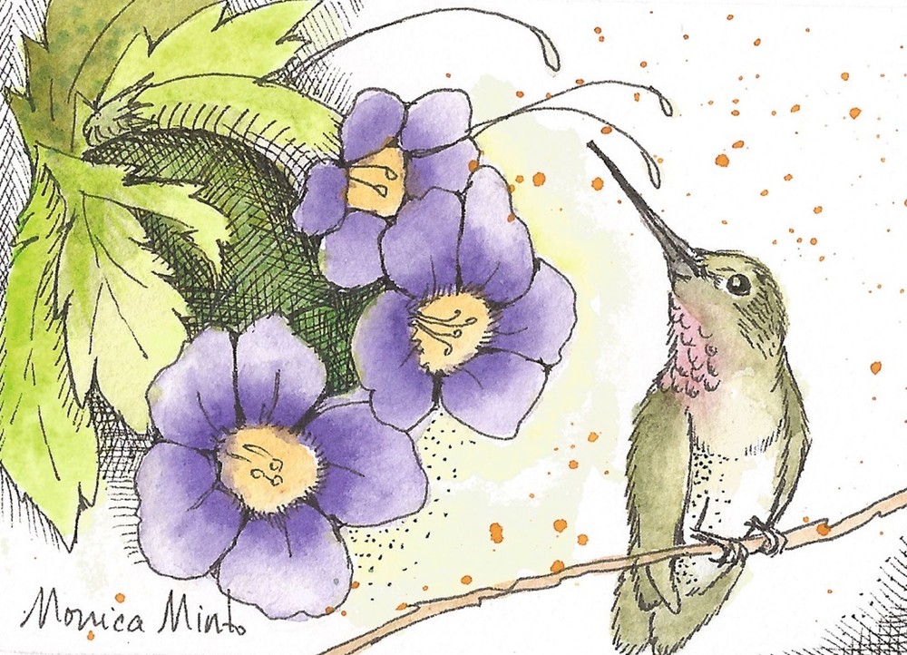 ACEO Limited Edition – Hummingbird with flowers print of Original watercolor