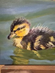 Art Original oil on Stretched Canvas, Duckling