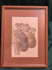Original Koala Watercolor By Mary Dinklin