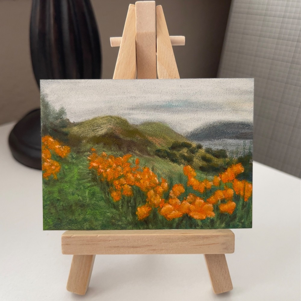 ACEO Original California Poppies Landscape Soft Pastel ATC Heidi Herrera