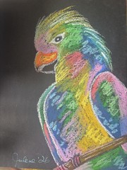 Colorborn Parrot – Original Oil Pastel Abstract Bird 9×12