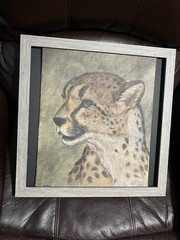 Artwork Cheetah By Judy Hawkins In Frame 15 X 15