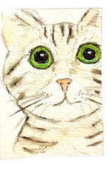 ACEO original cat cute gray green eyes ATC OOAK Cherie Donnell