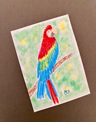 Parrot ACEO Painting Colorful Macaw Print Bird Animals Nature ATC Art