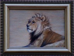 Original Lion Painting “Watching” 5×7 – Acrylic on Canvas Panel – Framed – 2018