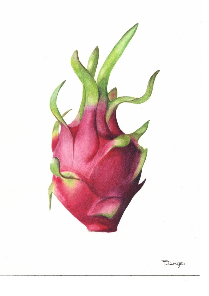 Botanical Magenta Dragonfruit Watercolor Print on Cold Pressed Paper