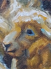 Sheep at Sunset – Original Oil Painting
