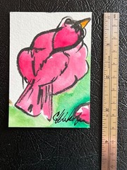 ACEO Original Watercolor Painting, Crazy Cardinal II C22