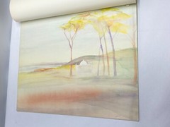 Vivian Gottlieb Watercolor Folio „Airs, Waters, Places“ Cape Town South Africa