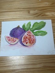 Signed Watercolor Gouache Painting Of Figs Fruit Still Life 10 X 7