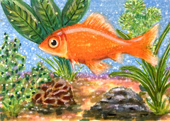 Goldfish Fish Aquarium Original ACEO Mixed Media Painting Illustration amylenore