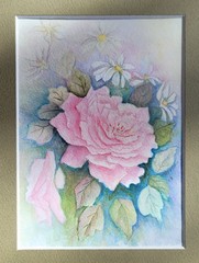 Marge Breth Original Watercolor Painting Alpine Rose Wild Daisy Victor Colorado