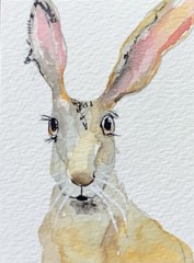 Painting Aceo Original Of A Hare by Kenna 2.5” X 3.5” Signed Collector Card