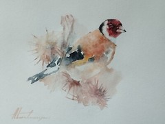 Goldfinch, Birds, Watercolor artwork, Handmade, Original painting on paper
