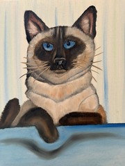Original oil painting 11 x 14 inch Siamese cat signed canvas