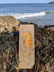 Original Seahorse Painting on Driftwood by Maine USA Artist