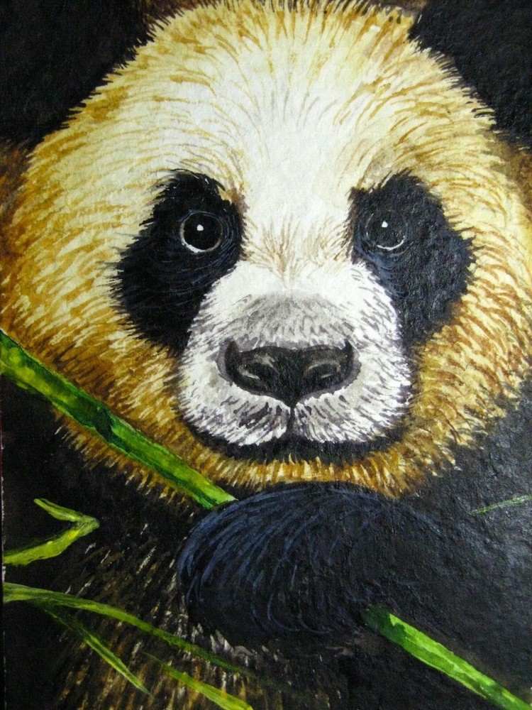 Watercolor Painting Panda Face Black White Bear Nature Animals Wildlife ACEO Art