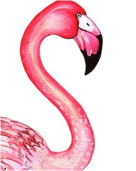 canvas print painting modern bird pink flamingo original Street florida licensed