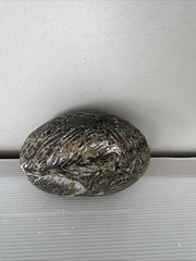 Squirrel Painted Rock Art Decor Paperweight Artist Signed