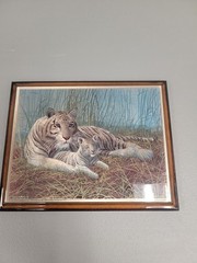White Tiger artwork by Micheal Matherly laminated onto frame