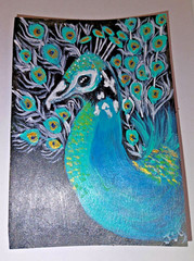 ACEO Original Peacock Painting 2.5×3.5 Blue Teal Gold Greens by Jayne