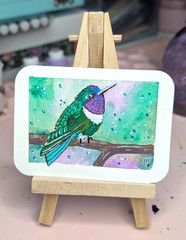 ACEO Original Amethyst Hummingbird Watercolor & Acrylic Bird Painting OOAK