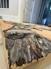 Original Real Tree Roots Canvas Painting Gnarled Branch Textured Oil Paint Decor