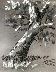 Landscape Impressionism Pastel Painting Drawing Dorothy Laz Tree